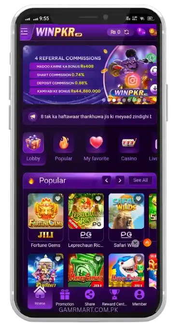 What is WINPKR Game in Pakistan?